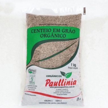 Centeio em Grão Orgânico
